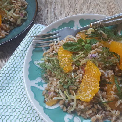 Farro, Fennel & Orange Salad (Farro con Finocchio e Arancia)