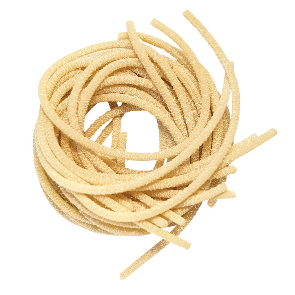 Nest of pici pasta