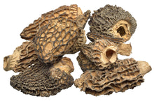 Dried Morels from Wineforest Wild Foods