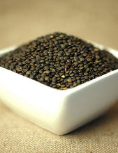 French green Lentils du Puy in a white ceramic bowl