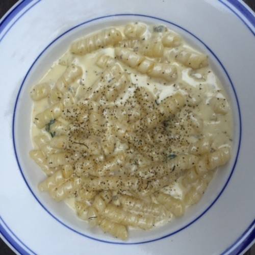 Pasta Shells with Many Cheeses