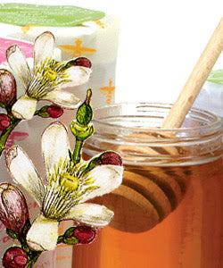 The Savory Side of Honey