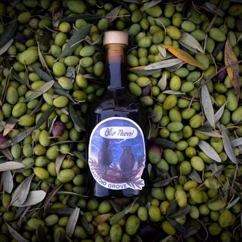 Bottle of Frantoio Grove olio nuovo with olives in the background