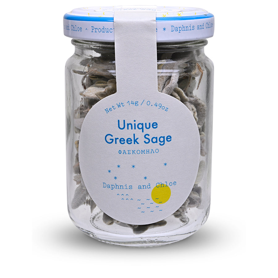 Daphnis and Choe Unique Greek Sage front