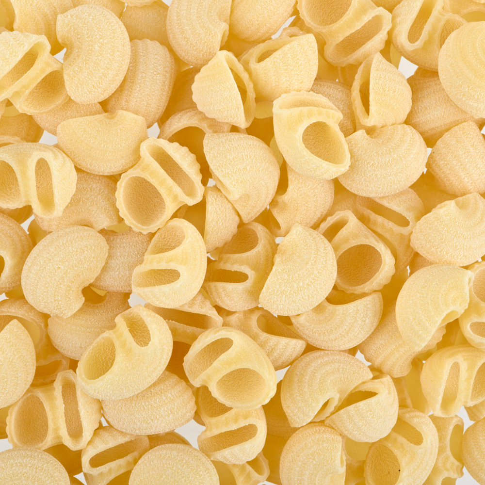 Lumache Pasta from Rustichella d'Abruzzo (loose) close up