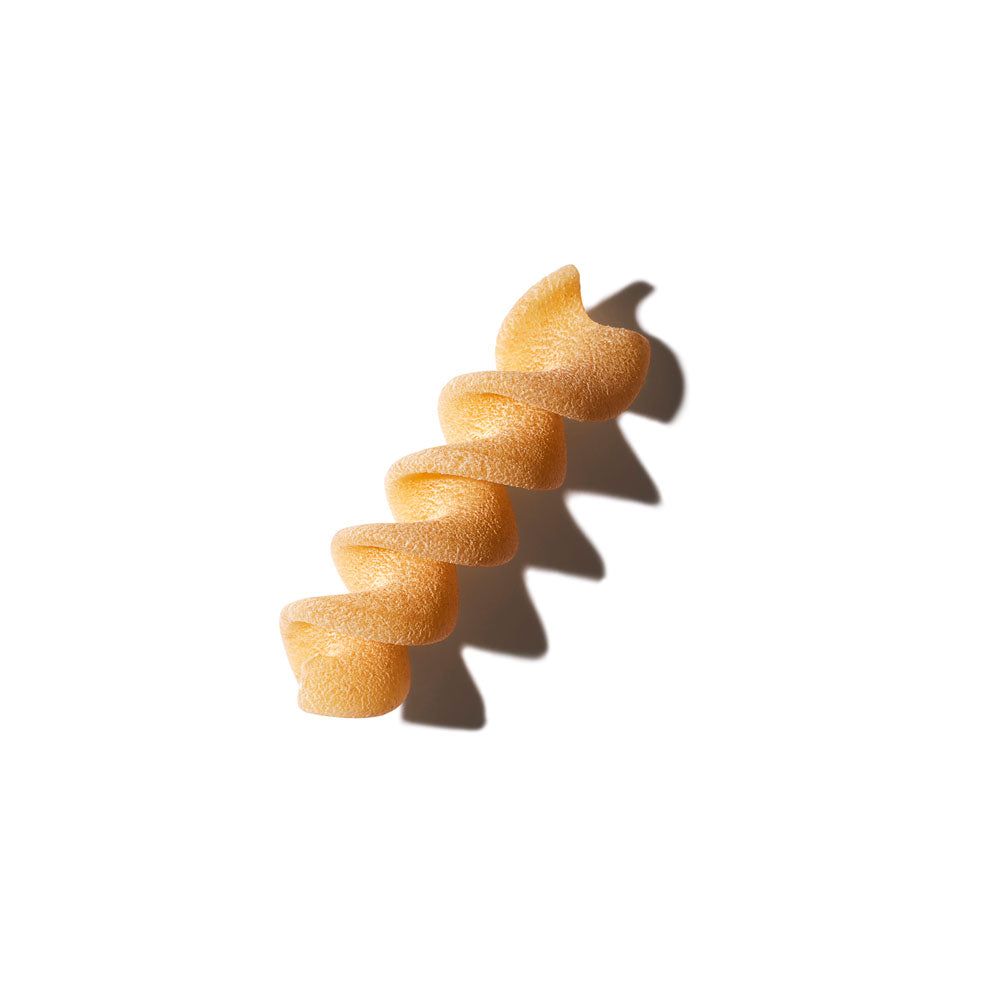 Close up of a single fusillo pasta