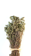 Organic Sicilian Thyme Branches from Gangi Dante