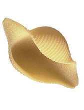 Conchiglioni Pasta from Rustichella d'Abruzzo