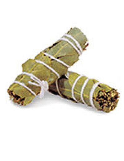 Two hand-tied Spanish herb bundles