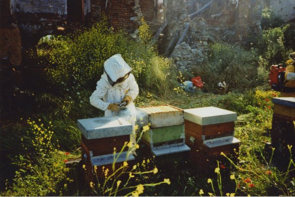 Franca Franzoni Chestnut Honey