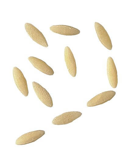 Orzo Pasta from Rustichella d'Abruzzo