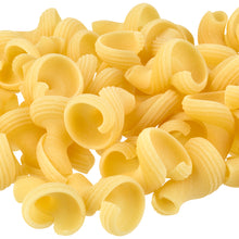 Torchio pasta from Rustichella d'Abruzzo