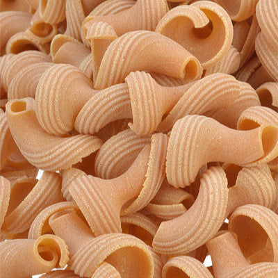 Pumpkin Torchio Pasta from Rustichella d'Abruzzo